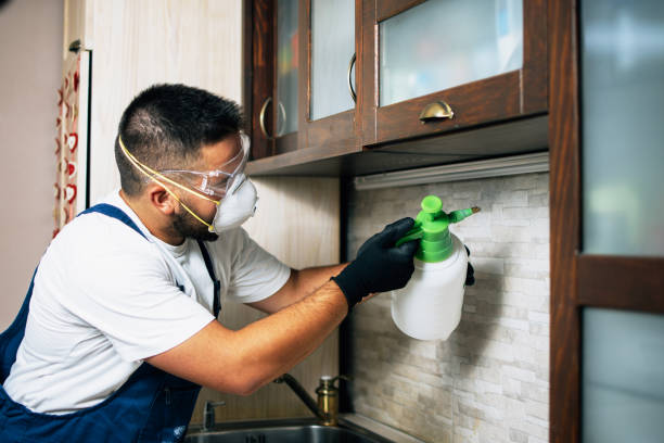 Best Best Pest Control Companies  in Monfort Heights, OH