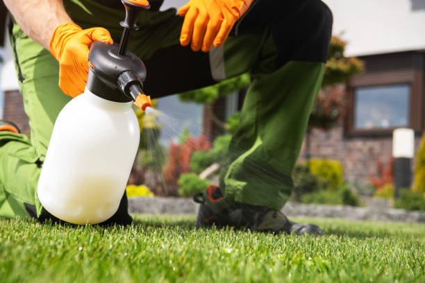 Best Rat Extermination Near Me  in Monfort Heights, OH