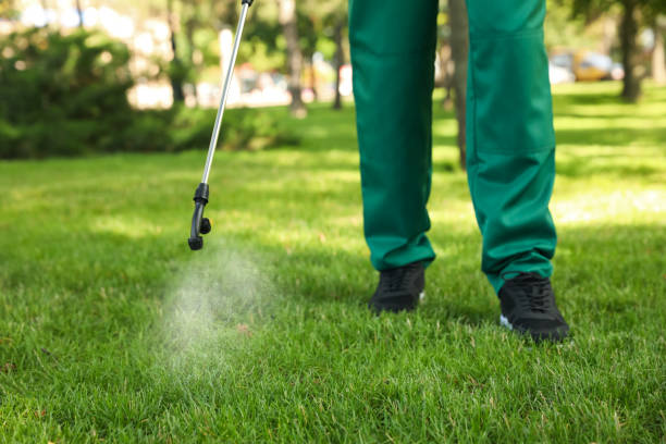 Best Pest Control for Restaurants  in Monfort Heights, OH