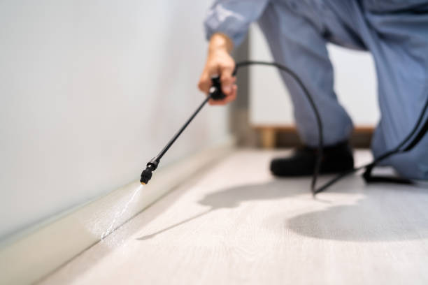 Wasp Removal Services in Monfort Heights, OH