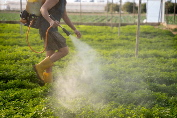 Best Wildlife Control Services  in Monfort Heights, OH