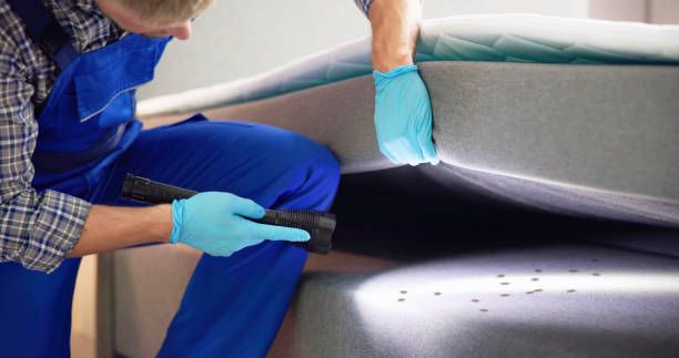 Best Pest Control Treatment  in Monfort Heights, OH