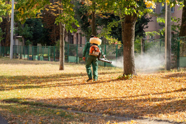 Best Emergency Pest Control  in Monfort Heights, OH