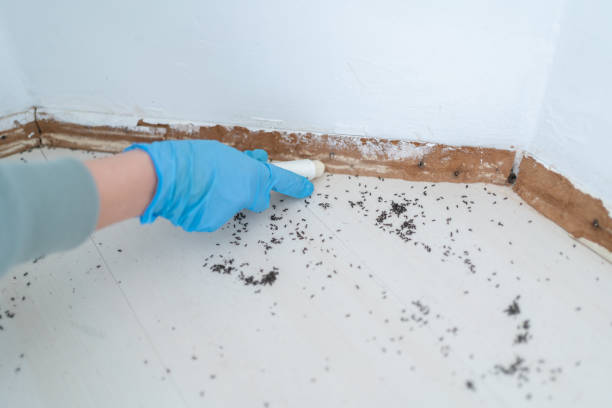 Best Best Pest Control Companies  in Monfort Heights, OH