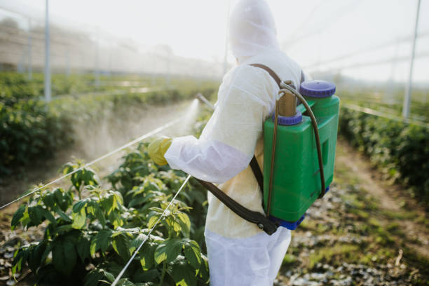 Best Pest Removal Services  in Monfort Heights, OH